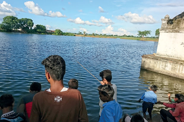 Health of Urban Lakes in India