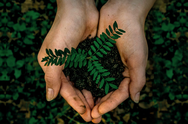 Banking on Sustainability 