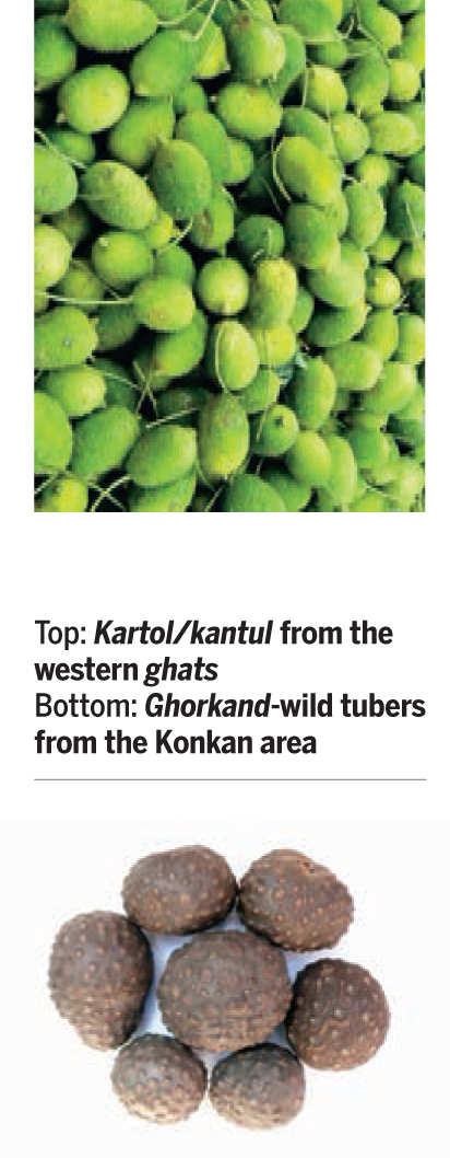 Save-Food-World-Kartol-kantul-western-ghats-Ghorkand-wild-tubers-Konkan