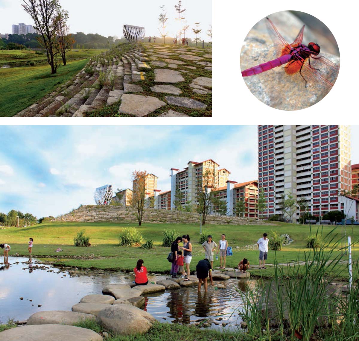 city-raise-river-park-enclosure-swing-local-sculptor-Kelvin-Lim-Fun-Kit-dragonfly-recreational-activities