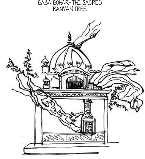 Appreciating-Amritsar-baba-bohar--sacred-banyan-tree