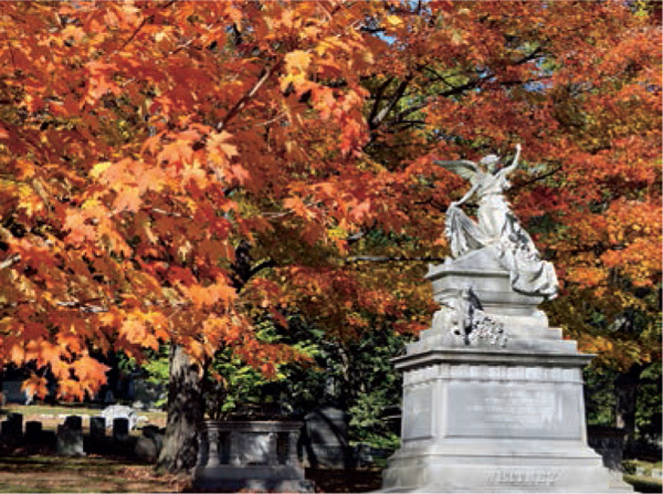 Boston-spirit-Fiery-red-fall-dominates-Mount-Auburn-Cemetery-Cambridge