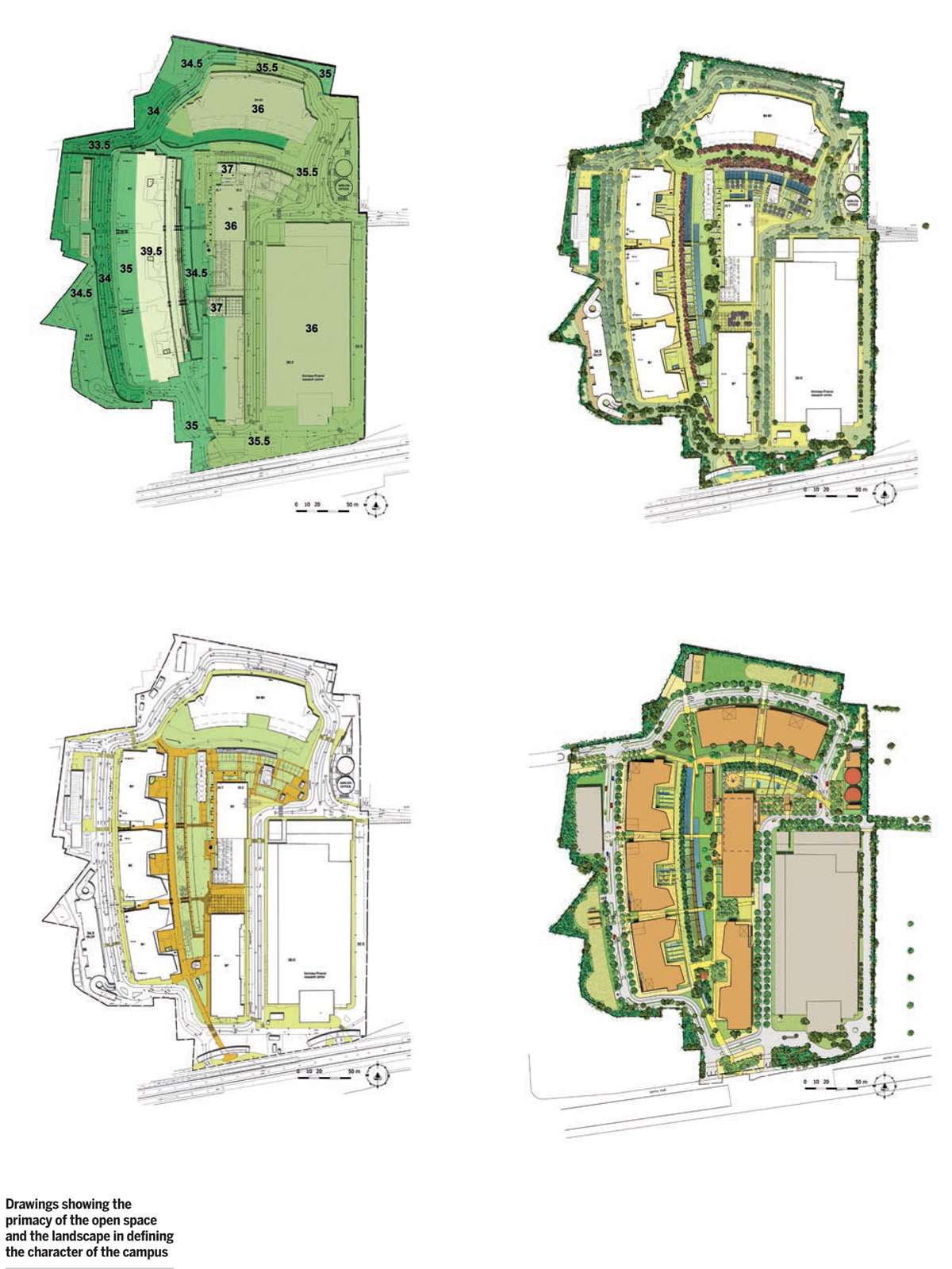 Campus-with-a-Green-Heart--NKP-Drawings-showing-primacy-open-space-landscape-defining-character-campus