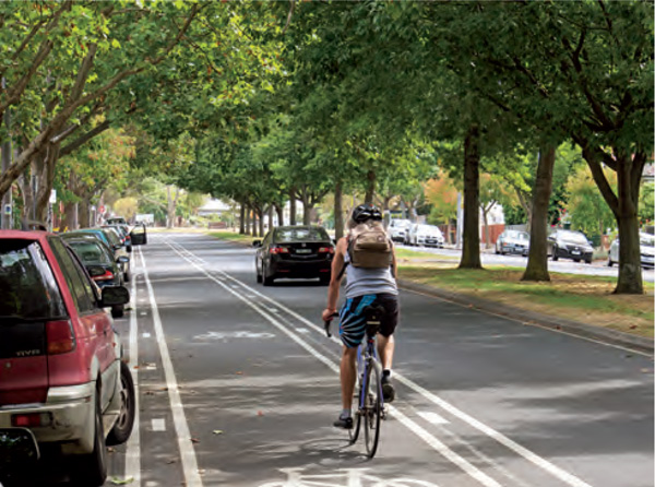 Technology-and-the-Urban-Landscape-Shade-trees-cooling-cities