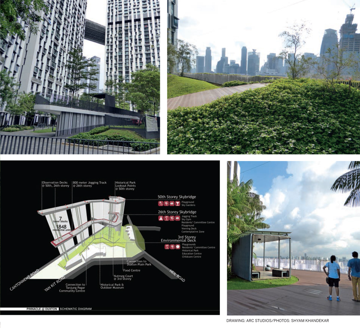 Raising-the-Landscape-Pinnacle-Duxton
