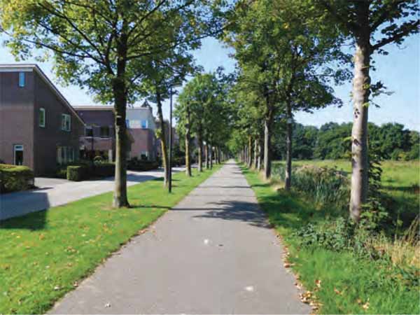 Cycling-Netherlands-Feeder-route-former-rural-road