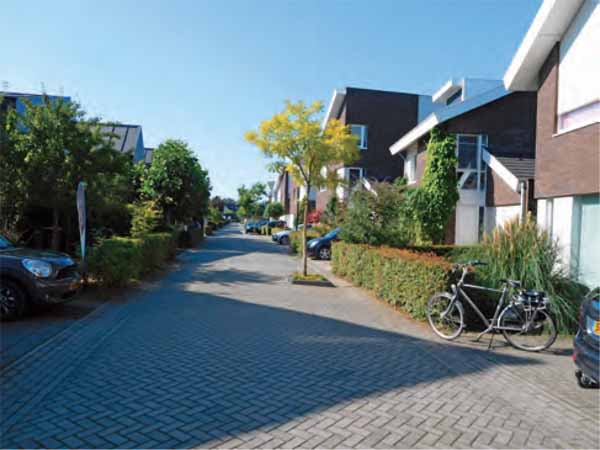 Cycling-Netherlands-Quiet-residential-street