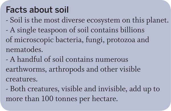 facts-soil