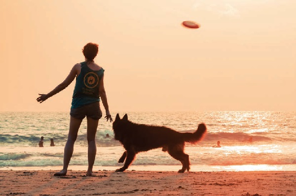 Beach-Every-Season-sunny-Varkala