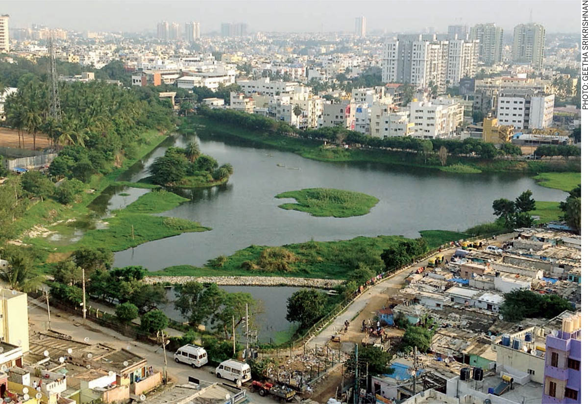 Flora-Fauna-Cities-Puttenahalli-Lake