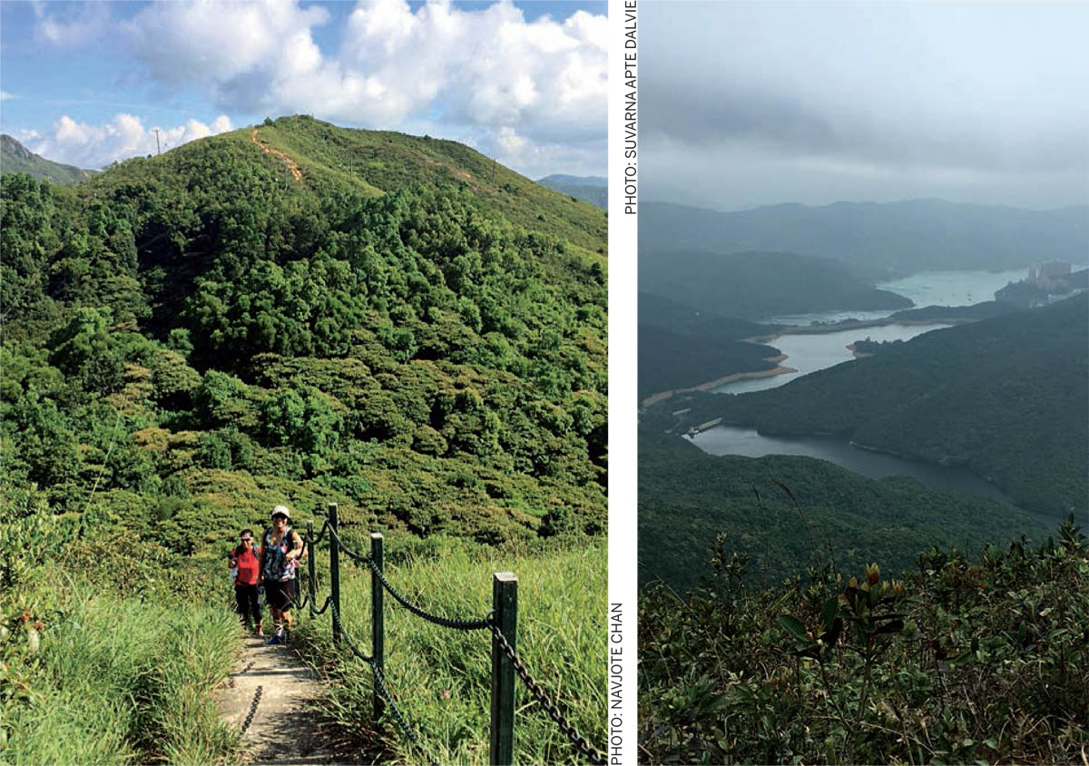 Flora-Fauna-Cities-hikers-Discovery-Bay-Trail-Lantau-Island-Hong-Kong