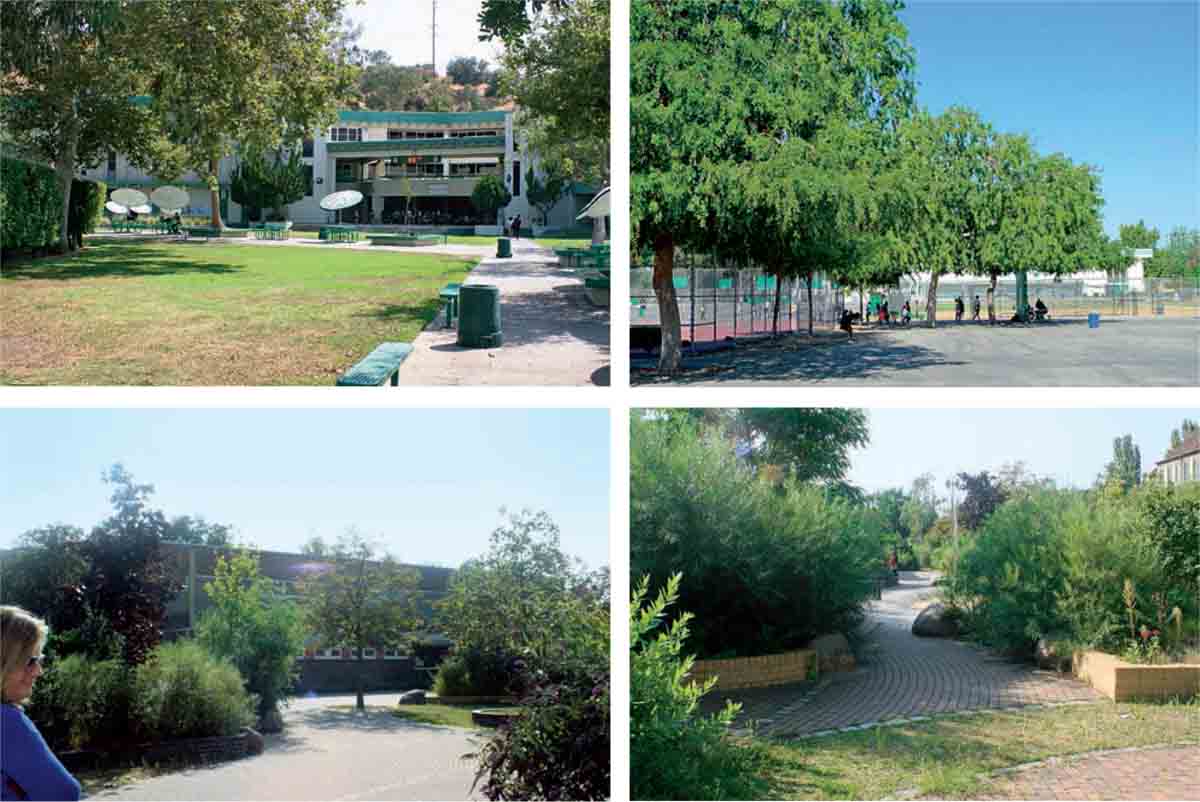 Nature-School-Grounds-Eagle-Rock-High-courtyard-Los-Angeles-B-Traven-Berlin