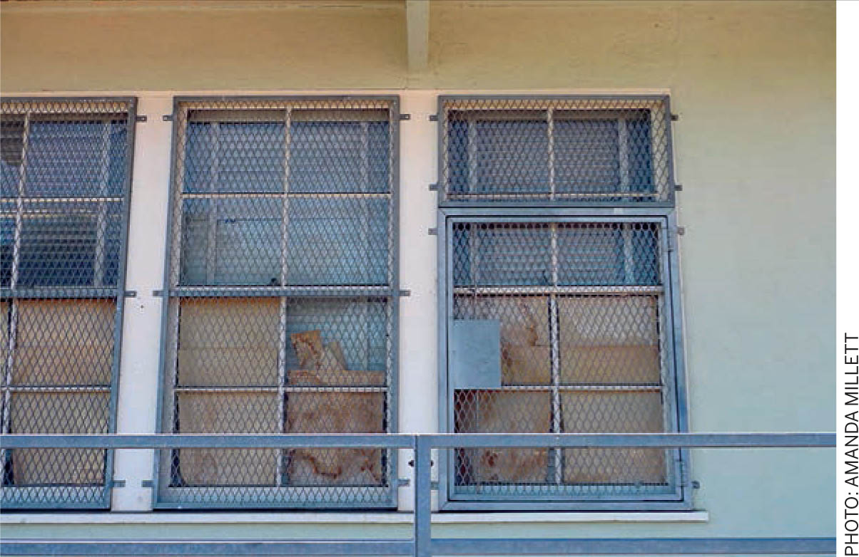 Nature-School-Grounds-Los-Angeles-high-windows-covered-security-grates-cardboard