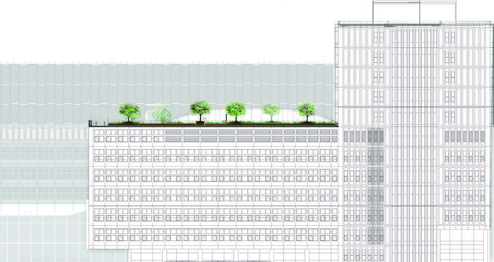 Green-Hospitals-Erasmus-Medical-Centre-Rotterdam-rooftop-gardens-accessible-patients-Fully-grown-trees-topsoil-Section