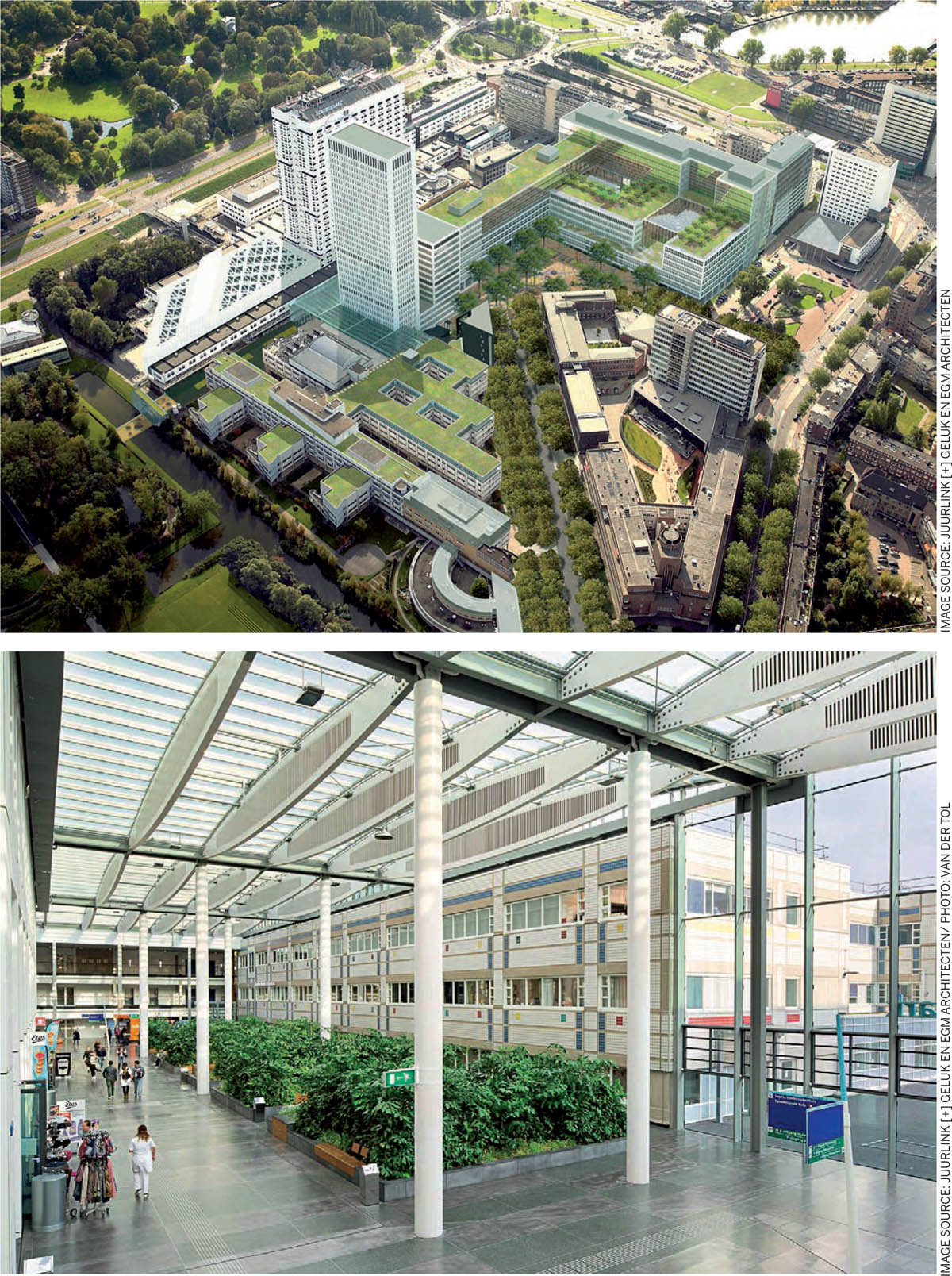 Green-Hospitals-Overview-Erasmus-Medical-Centre-Rotterdam-highly-urbanised-area-Impression