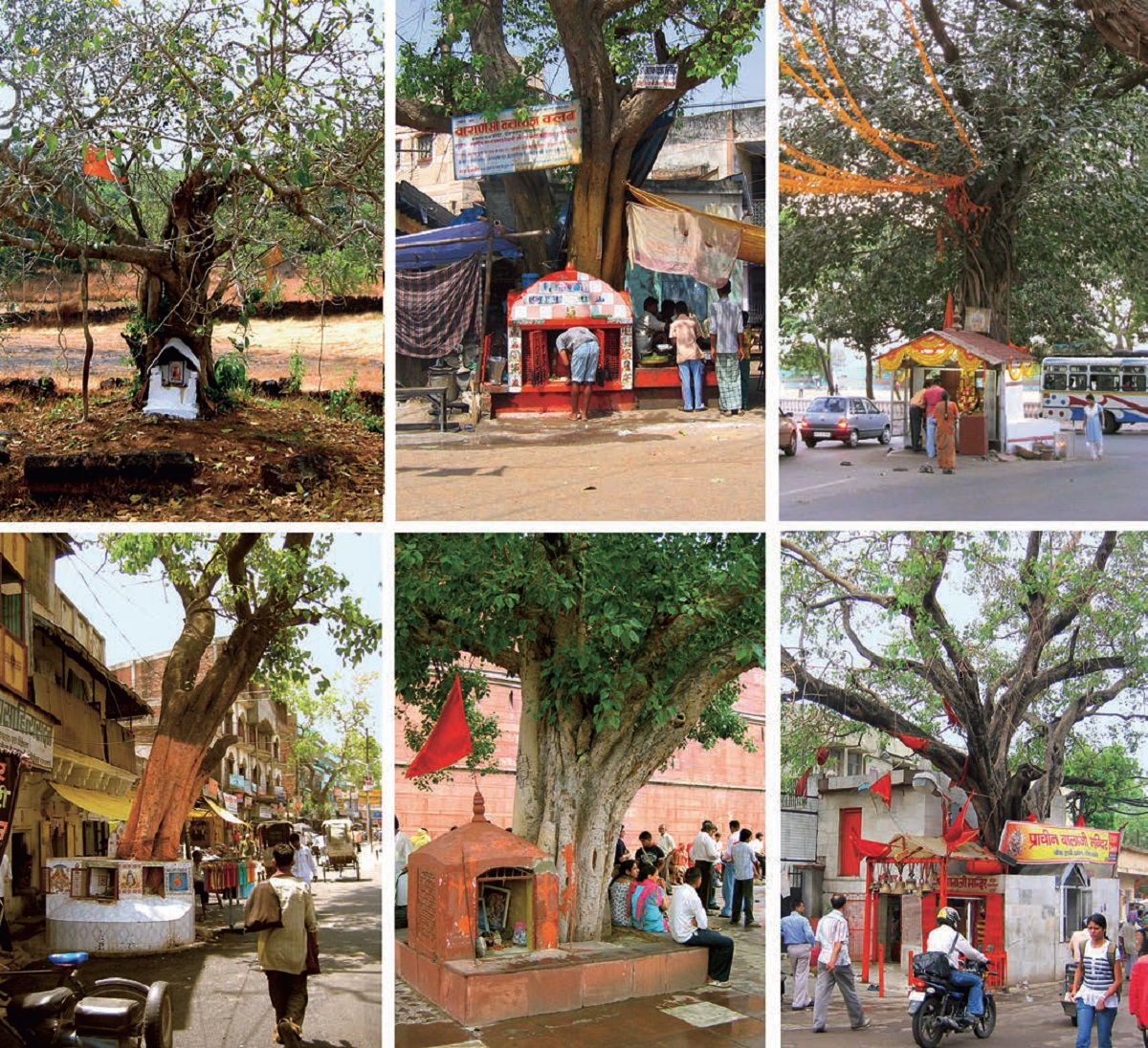 MILLENNIAL-PARADIGM-INDIAN-URBANISM-Consecrated-Tree-Wayside-shrines-under-trees-range-abstract-literal