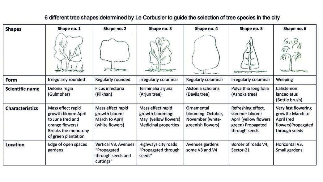 Sun-Space-Verdure-Citizen-Six-different-tree-shapes-determined-Le-Corbusier-guide-selection-species-city