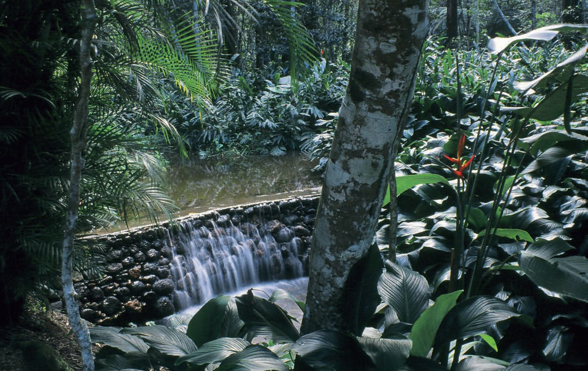 OTHER-URBAN-JUNGLE-park’s-small-garden-areas-designed-historical-waterworks