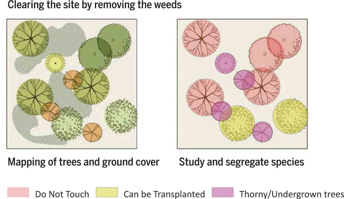 Sustainable-Approach-Trees-Pre-construction-stage