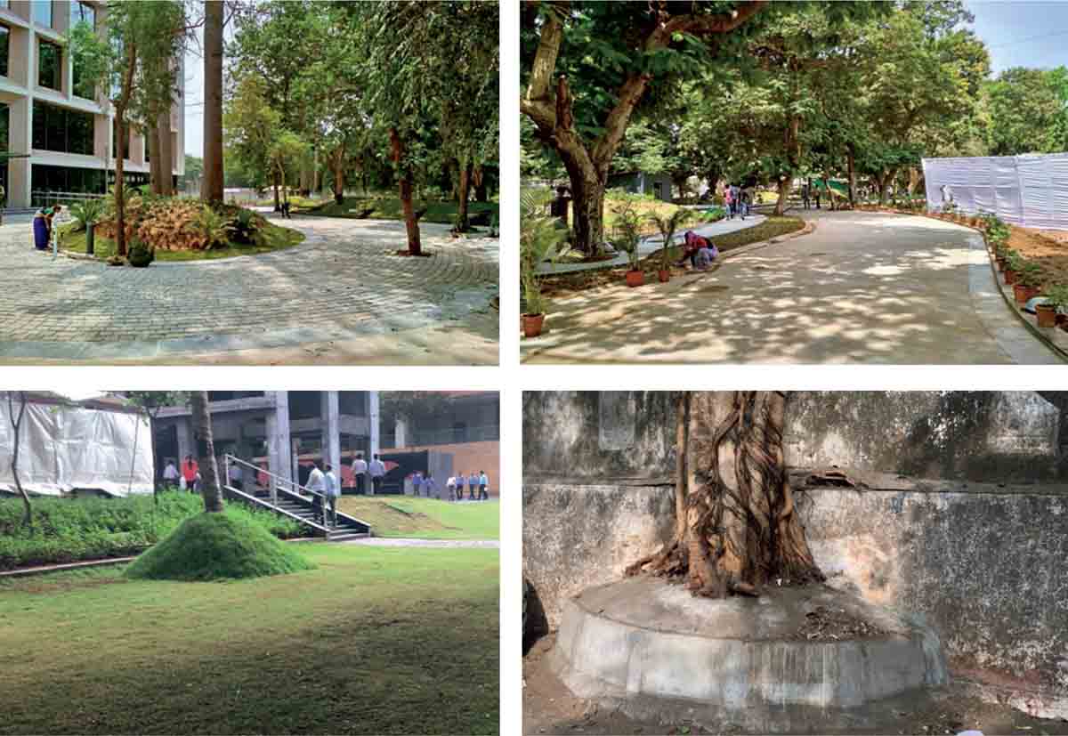 Sustainable-Approach-Trees-Projects-illustrating-saving-proper-process-microclimate-Alembic-Nirlon-Knowledge-Park-planter-P.C.C.-construction-material
