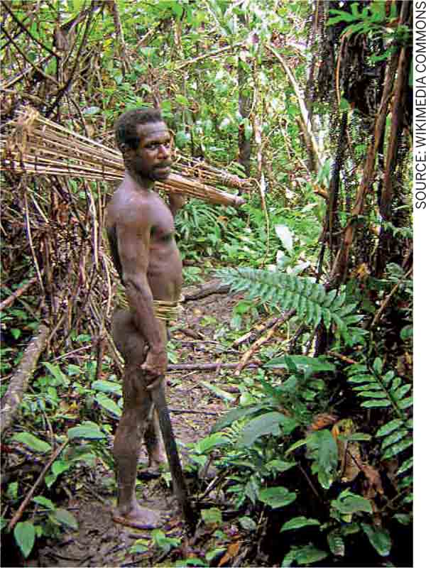 Tree-Houses-Korowai-estimated-total-population-4,000-people-relatively-little-contact-native-lands