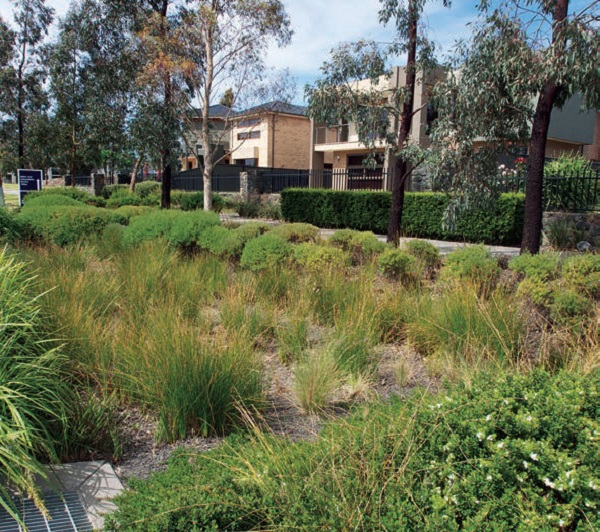 Towards-Green-Sustainable-Cities-suburban-street-western-Melbourne-gardens-trees-stormwater-harvesting-model-land-intensive
