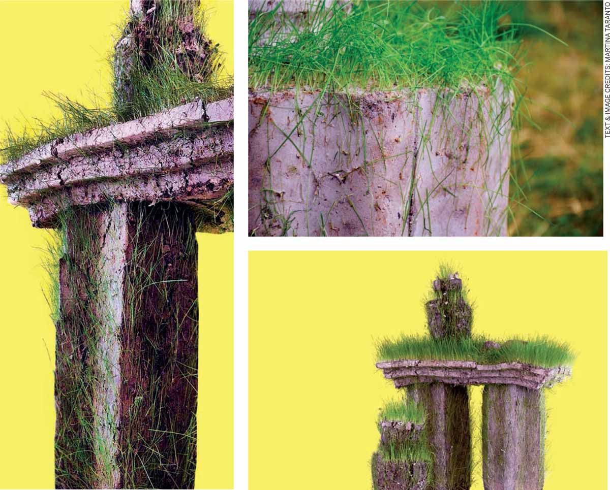 Inspiring-Product-Urbanism-Viral-Nature-Martina-Taranto-2019-London-England