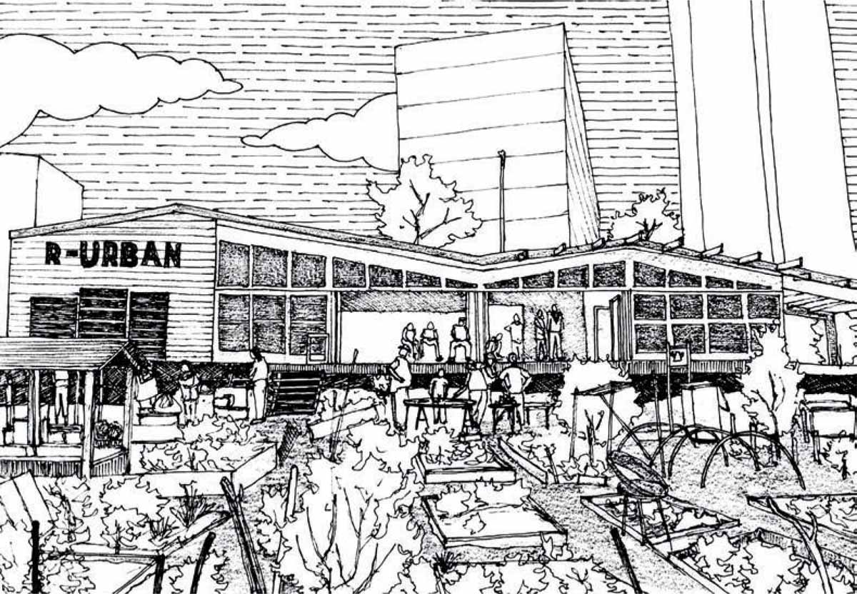 Landscape-Urban-Agriculture-Campus-R-Urban-NGO-fields-vegetables-herbs-fruits-Grown-various-tools-techniques-organic-farming-green
