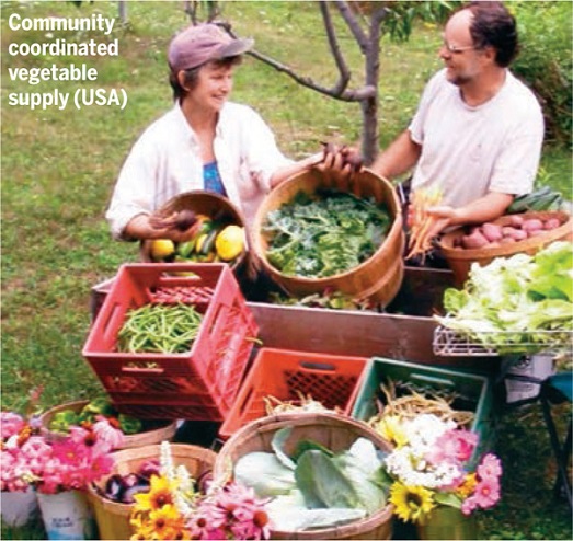 Save-Food-World-community-coordinated-vegetsble-supply-USA