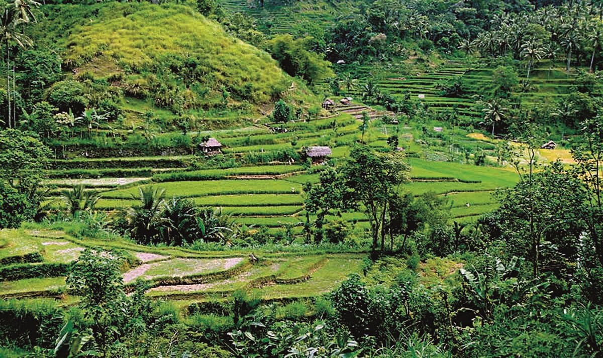 Re-evaluating-Urban-Asia-Rice-Terraces-Village-Bali