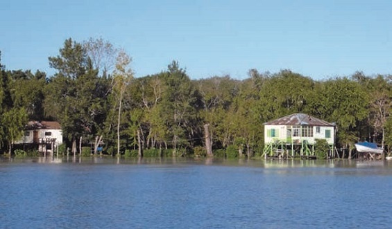 Urbanising-Deltas-A-Special-Challenge-Parana-Delta