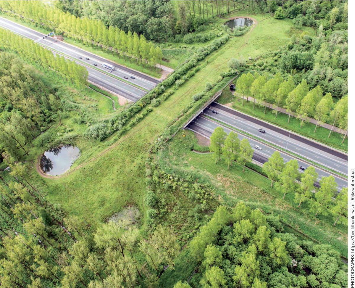 Ecological-Corridors-and-Ecoducts-Aerial-photograph-crossing-motorway-watering-holes-animals
