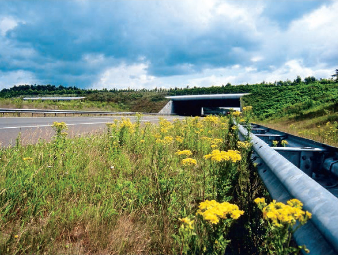 Ecological-Corridors-and-Ecoducts-View-motorway