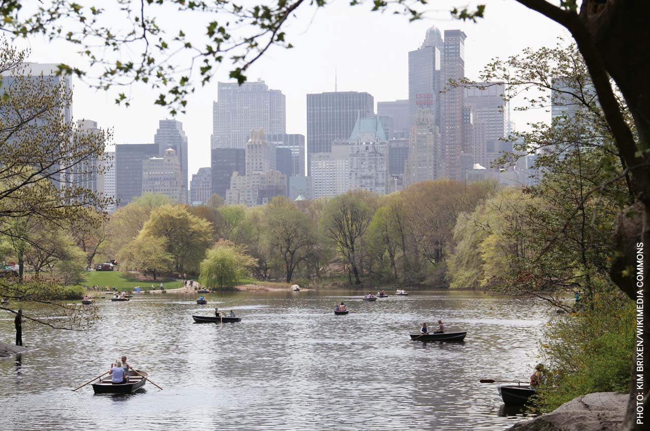 Covid19-Cities-Central-Park-NewYork-lung