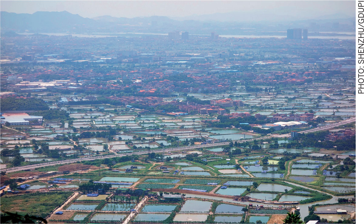 River-Place-Traditional-mulberry-dike-fish-pond-complex