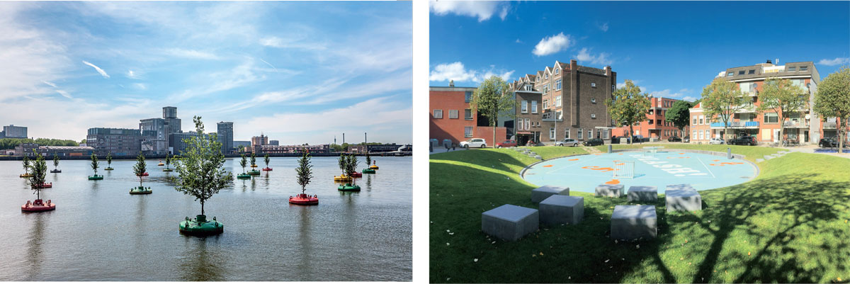 Resilient-Rotterdam-Het-drijvende-bos-floating-forest