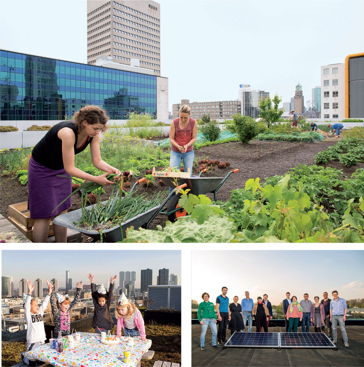 Resilient-Rotterdam-Rooftop-gardening-tea-room--Social-Residents-suppliers-energy