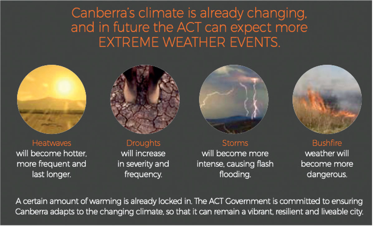 Green-Towns-Cities-diagramme-Canberra’s-Living-infrastructure-plan-cooling-climate-threats-inland-Australia