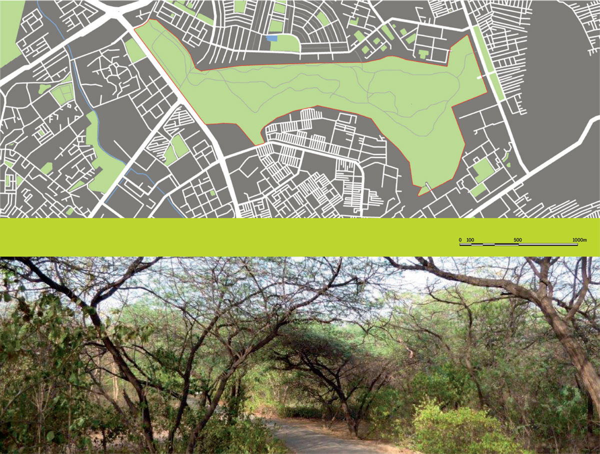 Urban-Parks-Green-Oases-City-Delhi-Jahanpa-nah-City-Forest-175-ha