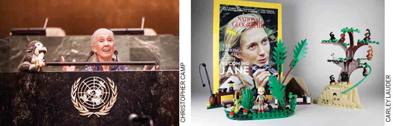Harmonising-Non-Human-Life-Dr.-Jane-Goodall-world’s-foremost-expert-chimpanzees-LEGO-kit-dedicated-work