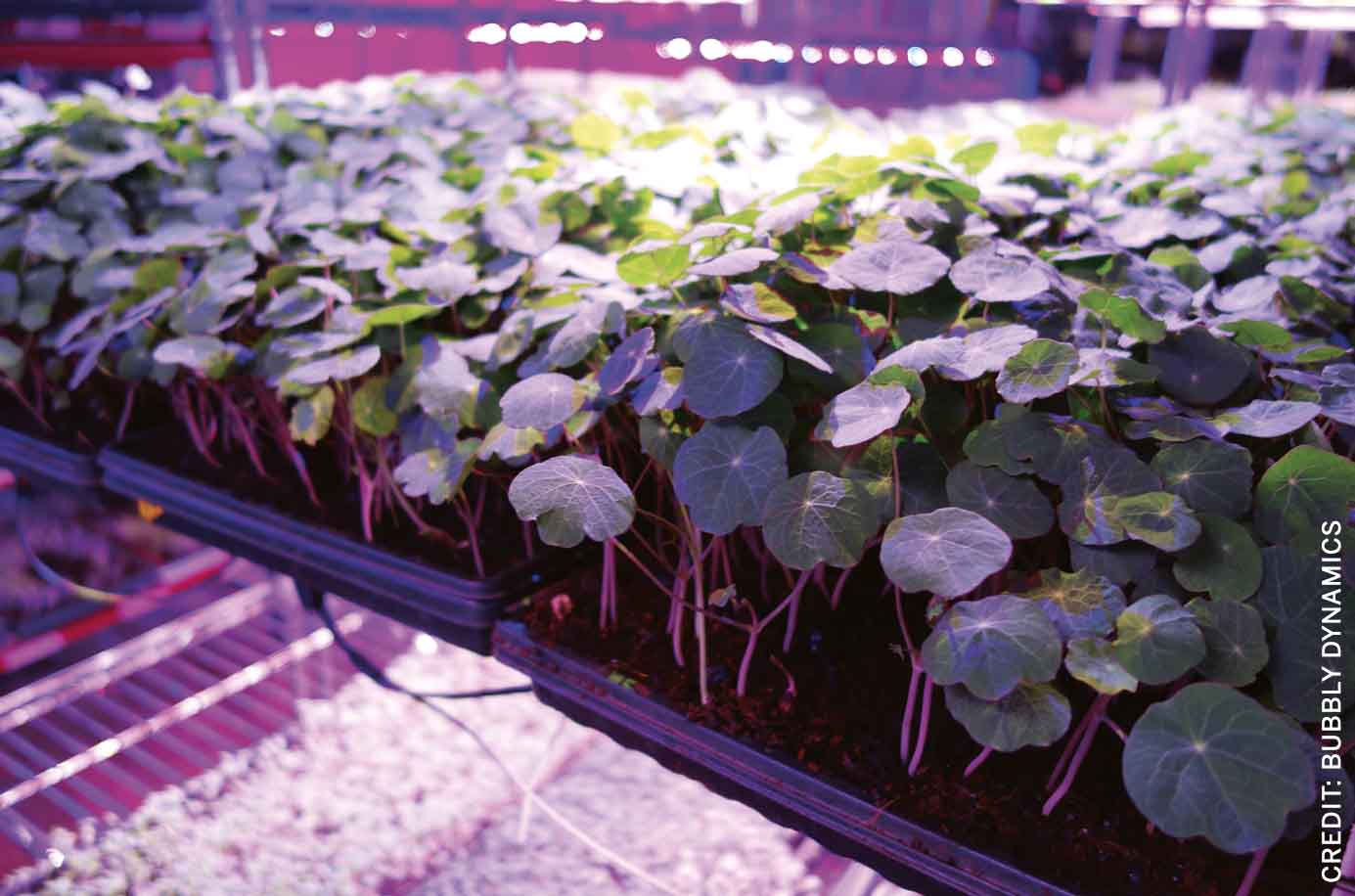 circular-design-organisational-level-indoor-farms-utilise-products-beer-manufacturing-process-input-stimulate-growth