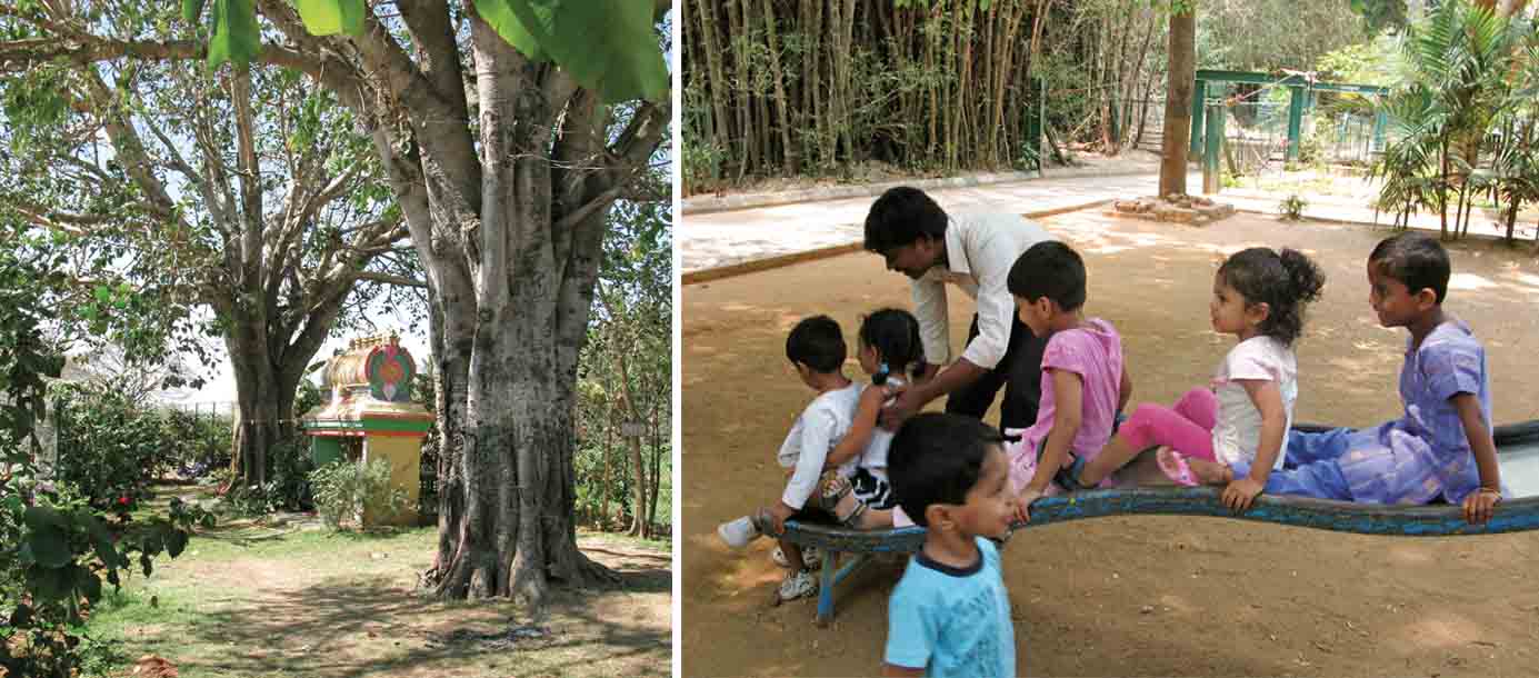 creating-better-urban-ecosystems-sacred-trees-urban-settings-parks-provide-locations-children-play-midst-nature