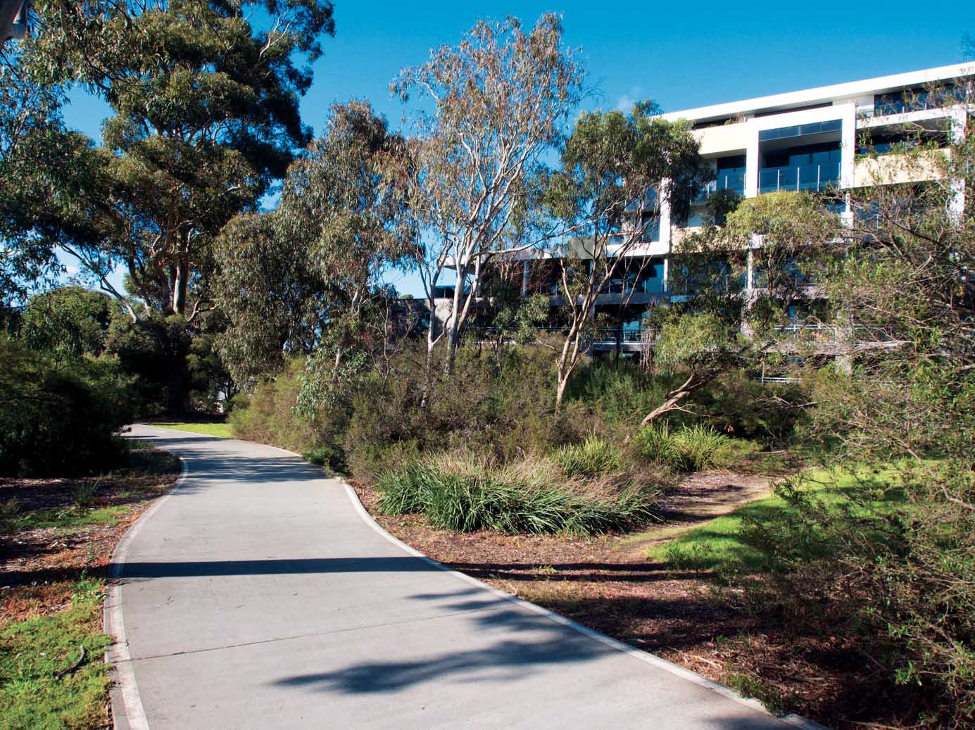 river-creek-corridors-new-life-apartment-development-shared-path-native-parkland-adjoining-merri-creek-few-kilometres-central-melbourne