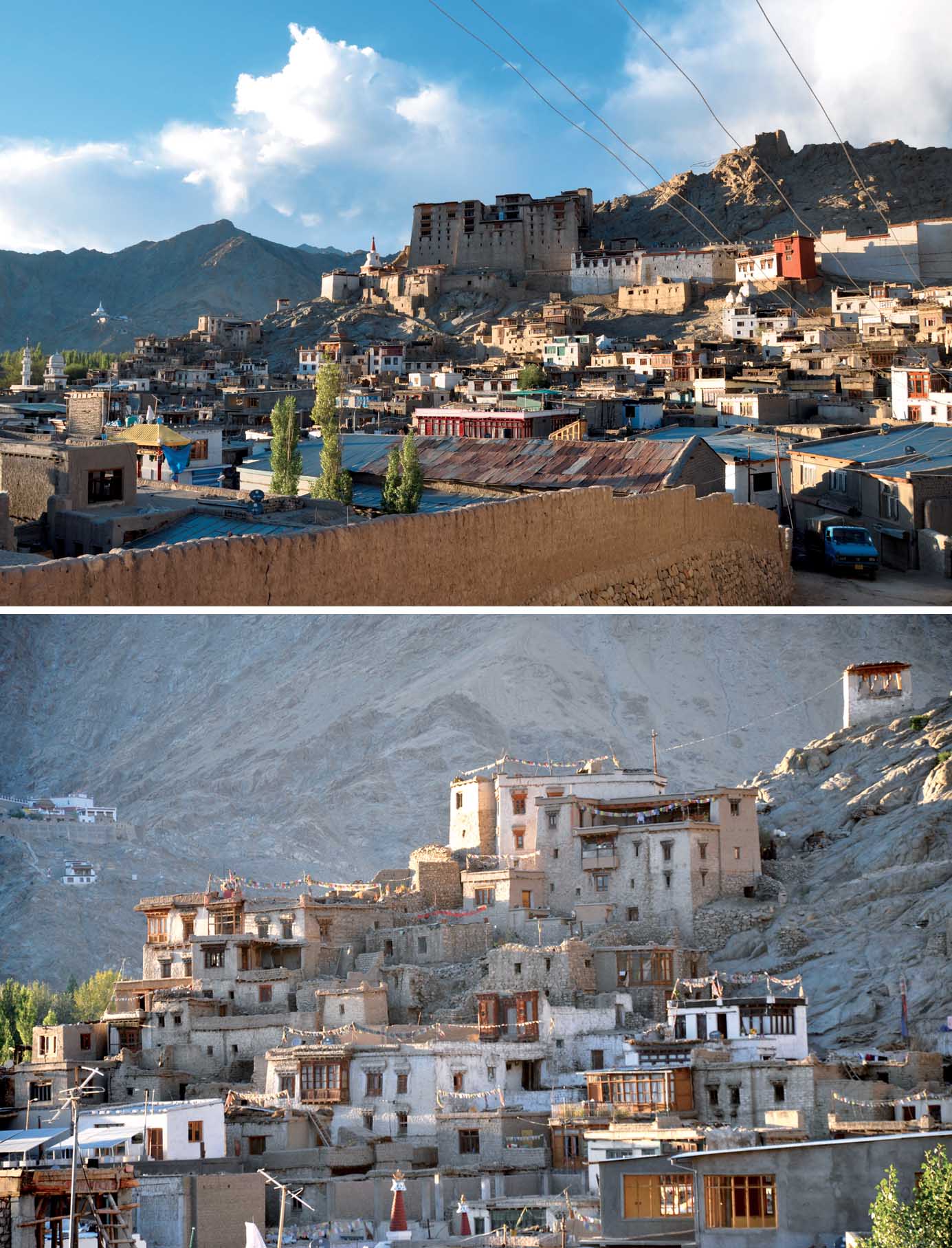 case-regeneration-through-adaptive-reuse-typical-ladakhi-landscape-old-town-leh-palace-namgyal-hill-core-stupa-urbanscape-showing-exquisite-mud-architecture