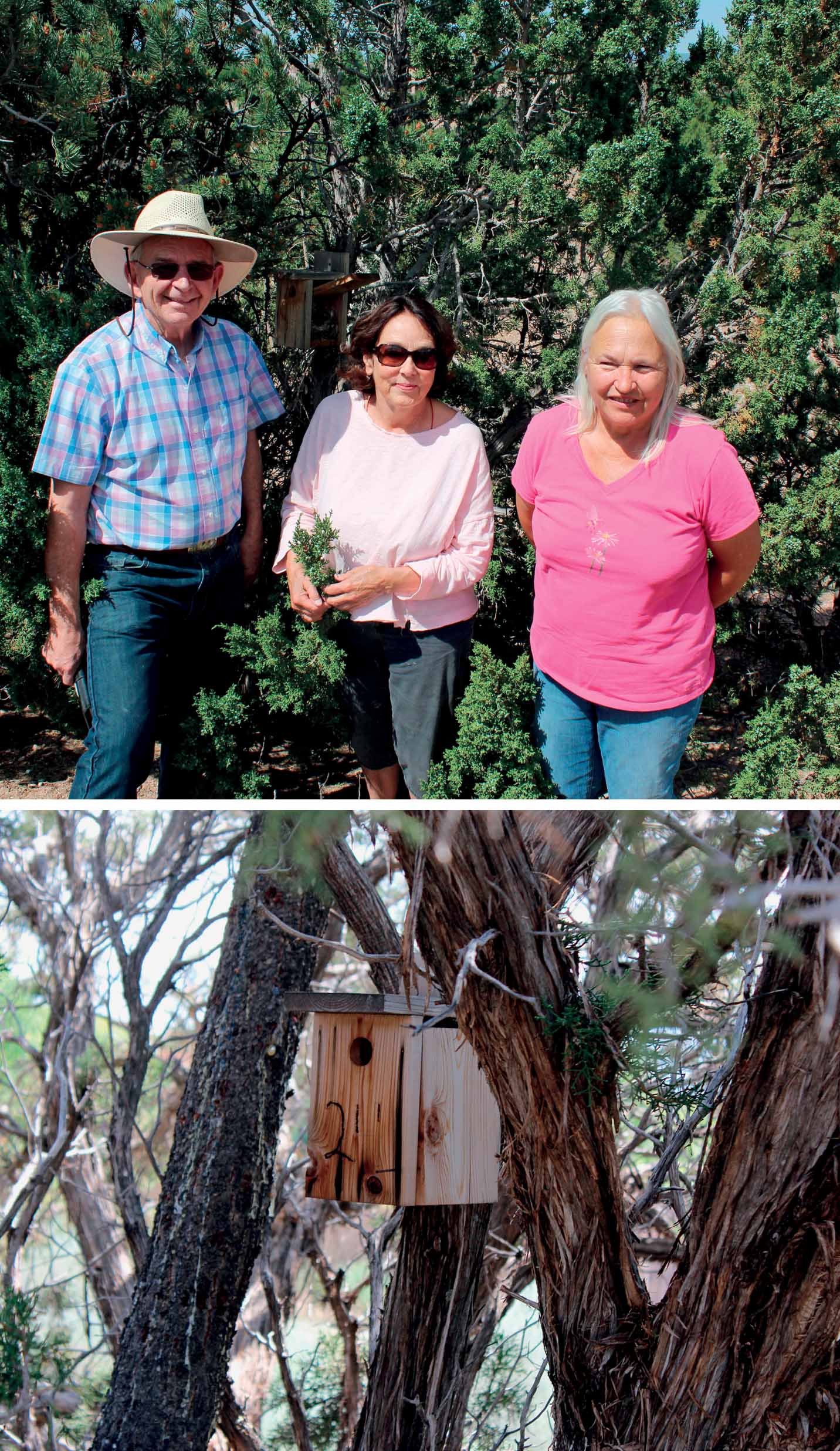 promise-bird-friendly-cities-sante-fe-new-mexico-community-aldea-residents-joined-together-install-monitor-nest-boxes-juniper-titmouse