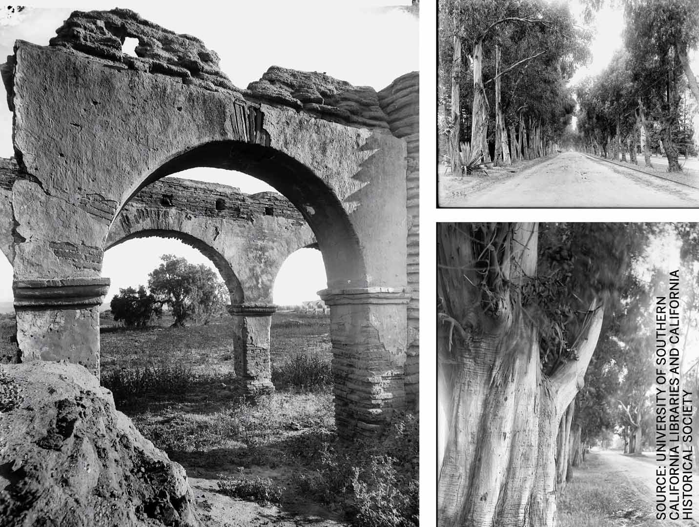 immigrant-trees-of-los-angeles=double-arches-old-entrance-mission-san-luis-rey-de-francia-framing-pepper-ca-1900-magnolia-avenuein-riverside-with-pepper-eucalyptus-1900-lined-corner-gower-street-melrose-avenue