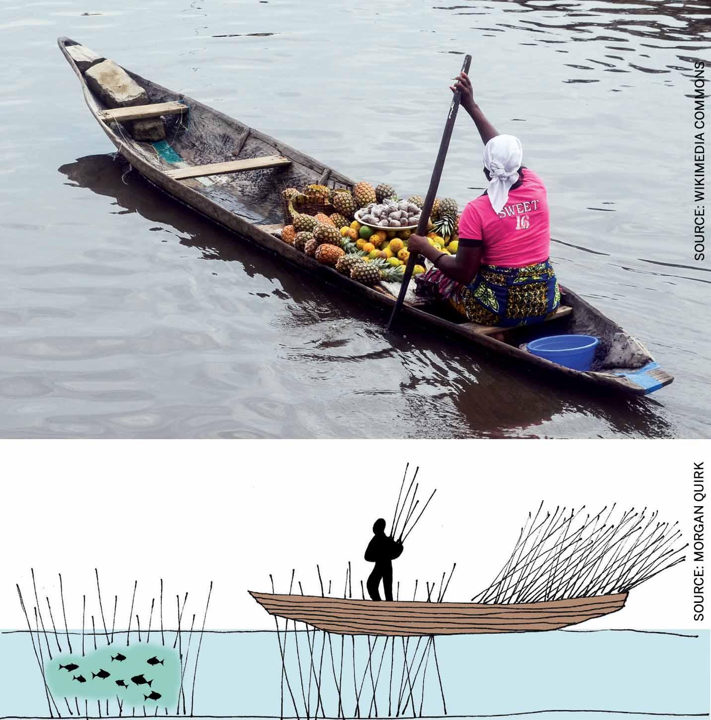 ganvi-between-resilience-and-conservation-tofinu-women-often-sell-fish-other-goods-out-their-pirogues-sectional-diagram-acadja-enclosure