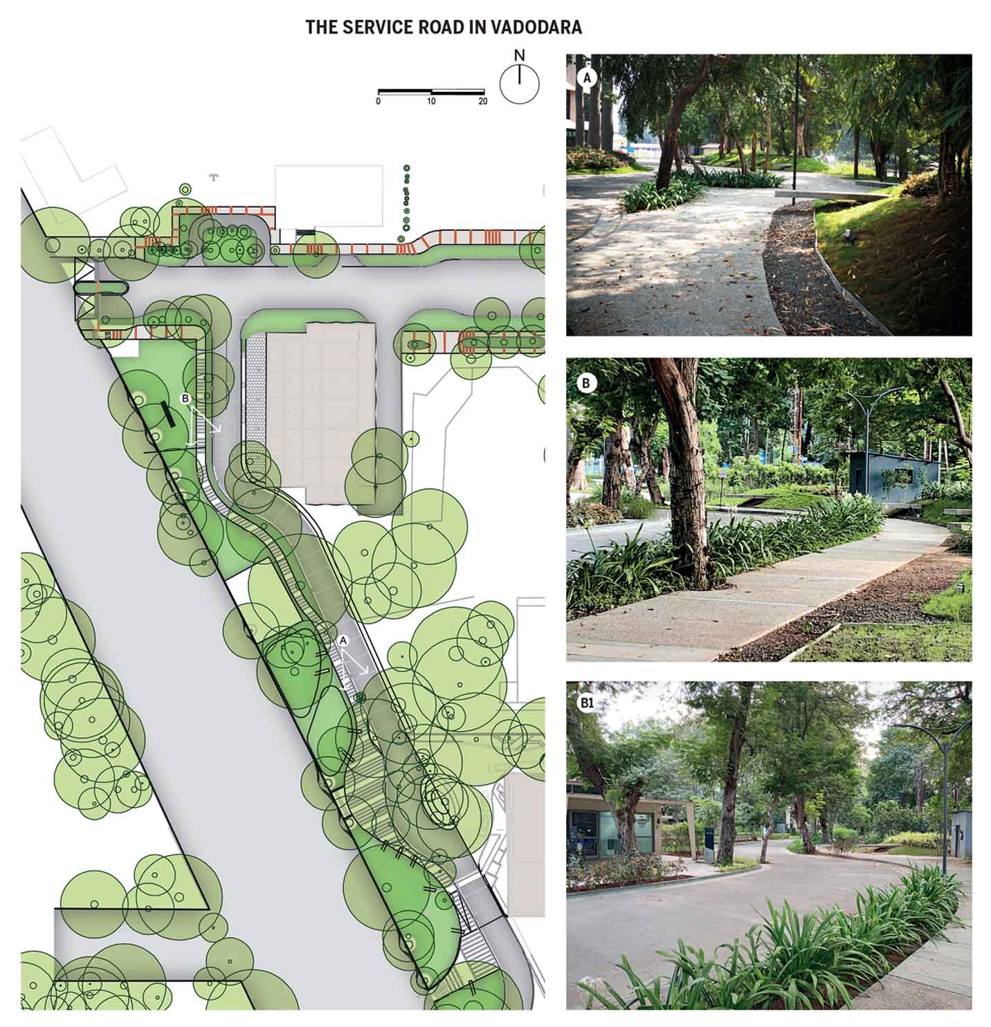 wiggling-roads-other-design-strategies-save-trees-service-road-vadodara