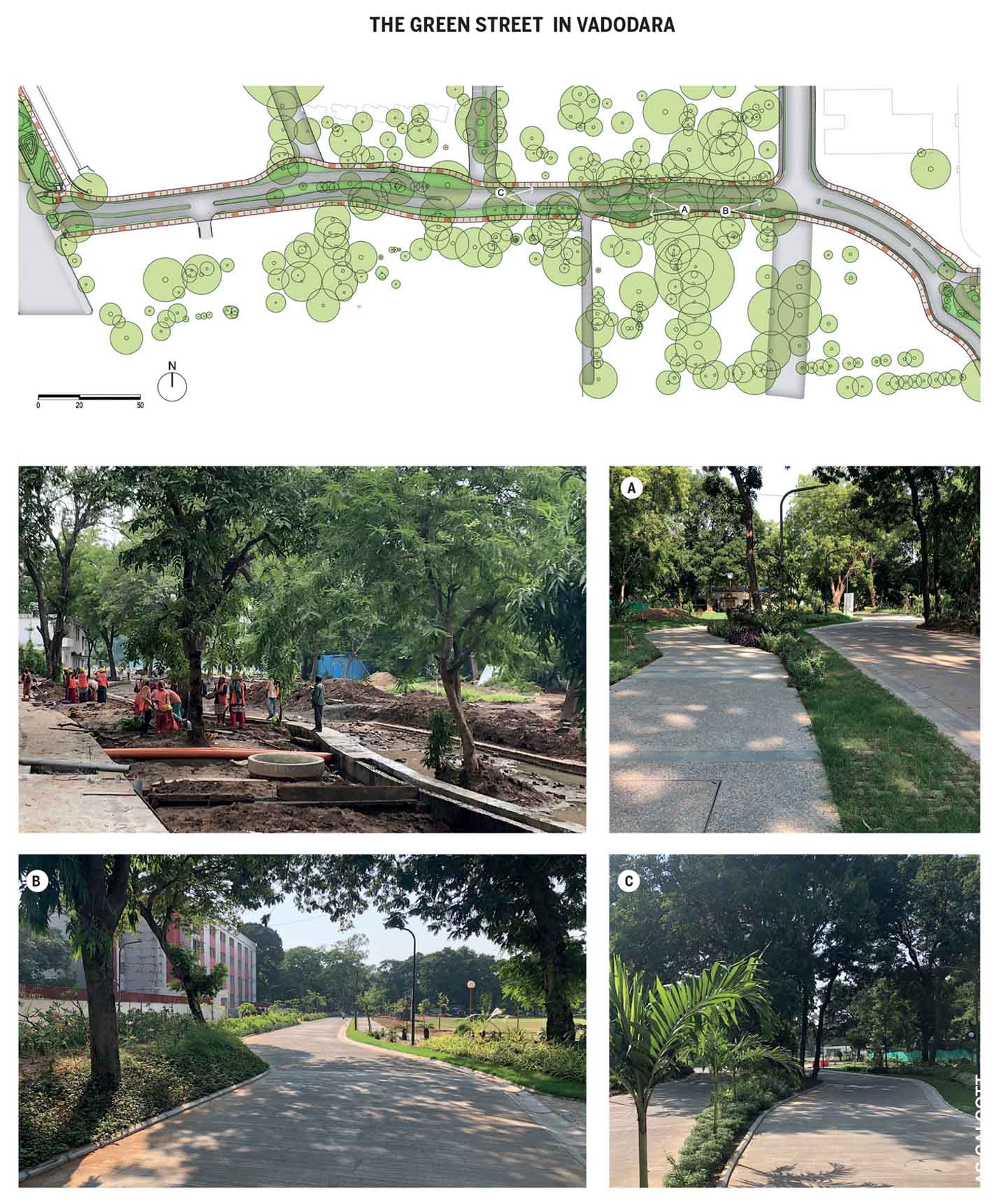 wiggling-roads-other-design-strategies-save-trees-green-street-vadodara