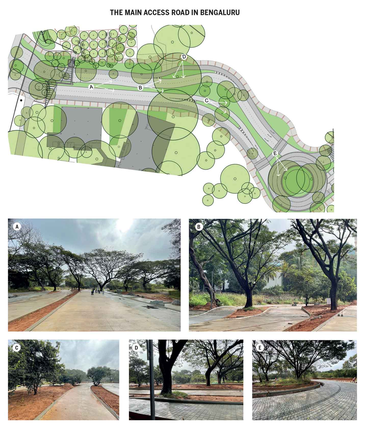 wiggling-roads-other-design-strategies-save-trees-main-access-road-bengaluru